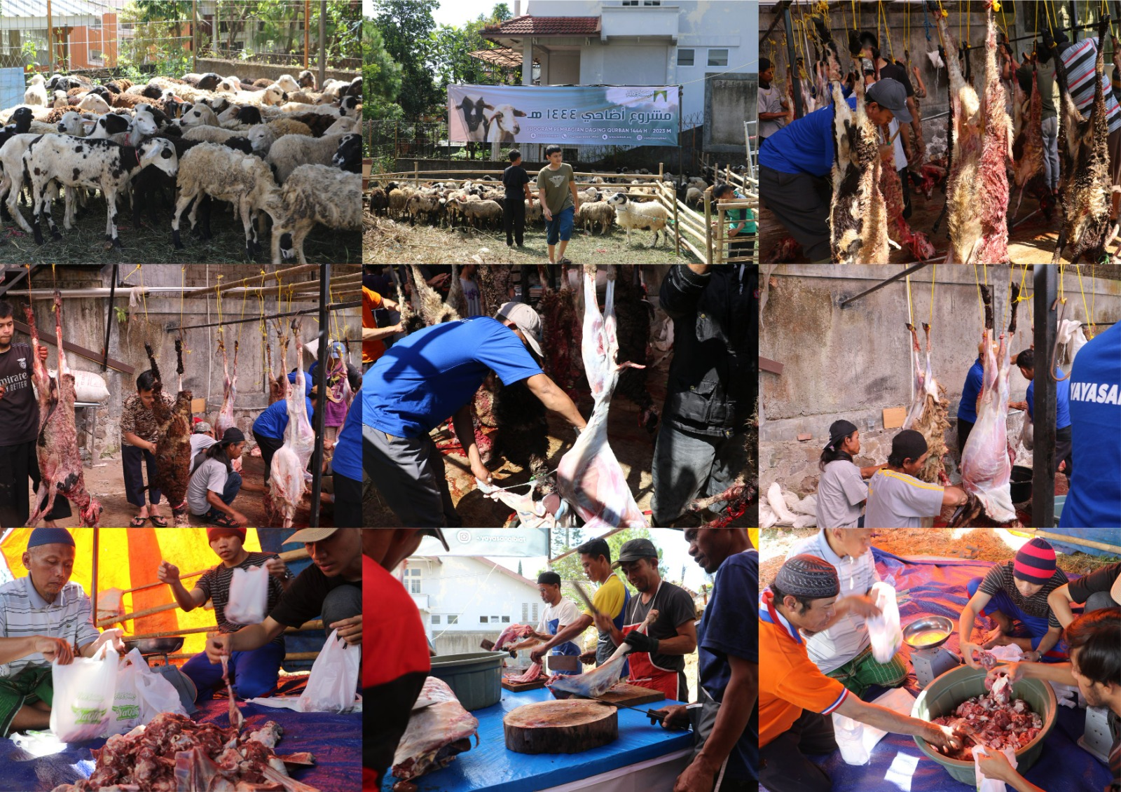 Berqurban Bersama Qiblat, Membahagiakan Umat!